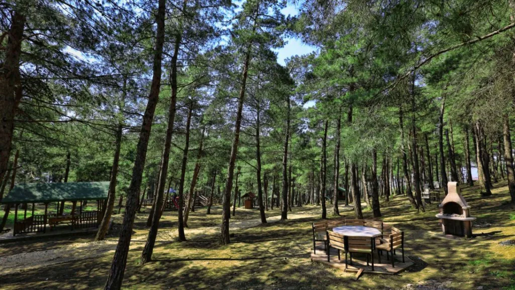 florya atatürk ormanı