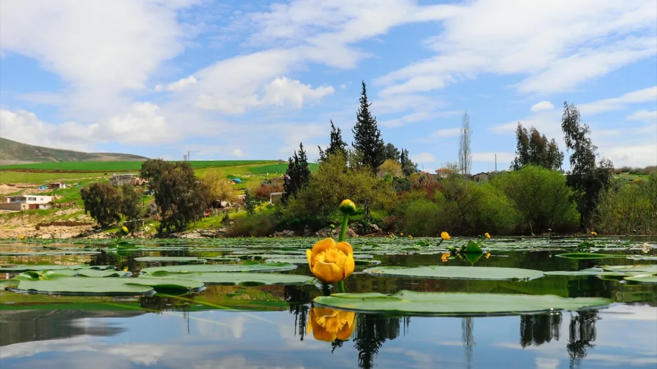  Gölbaşı Kuş Cenneti