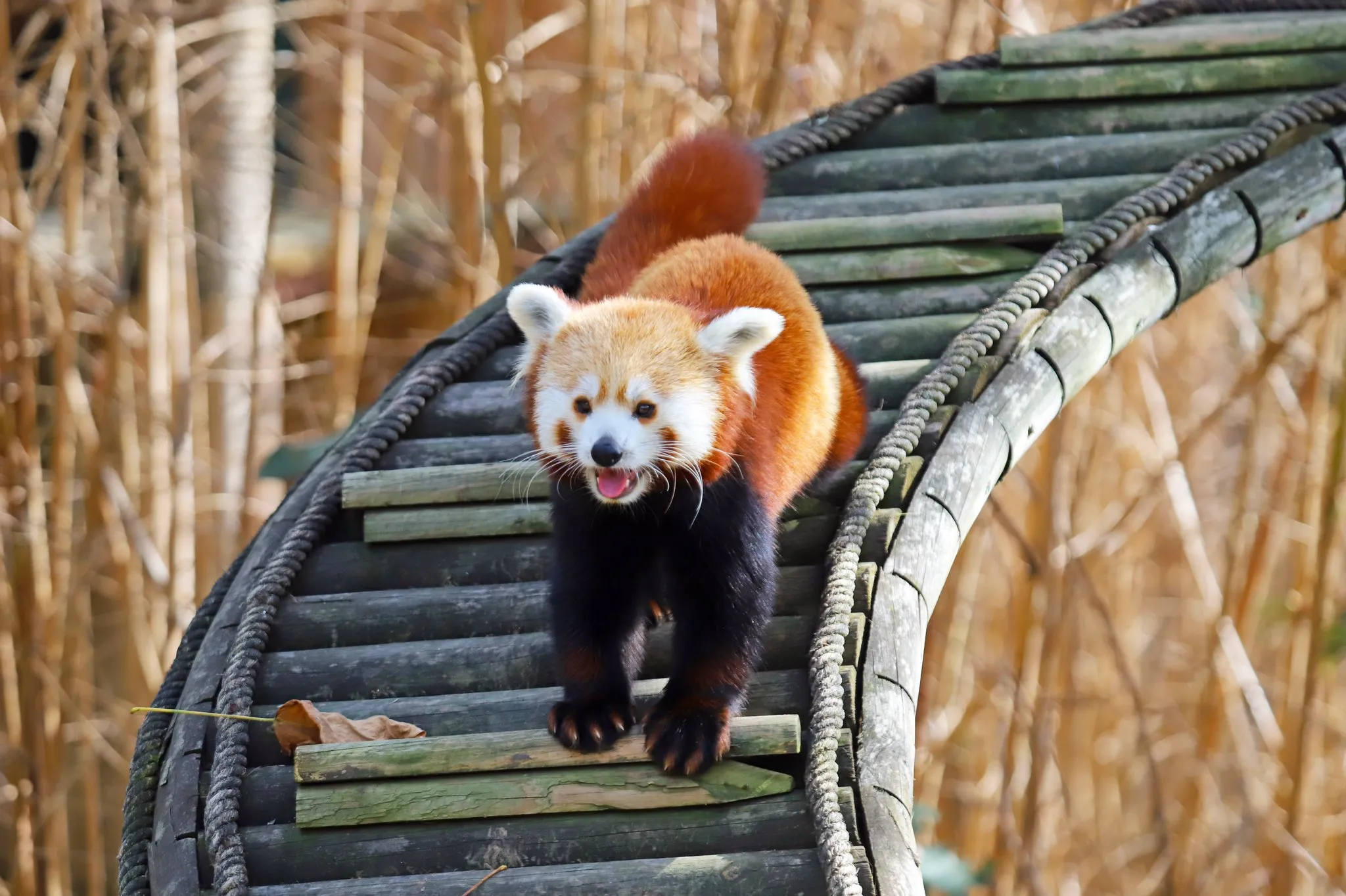Darıca Gezilecek Yerler