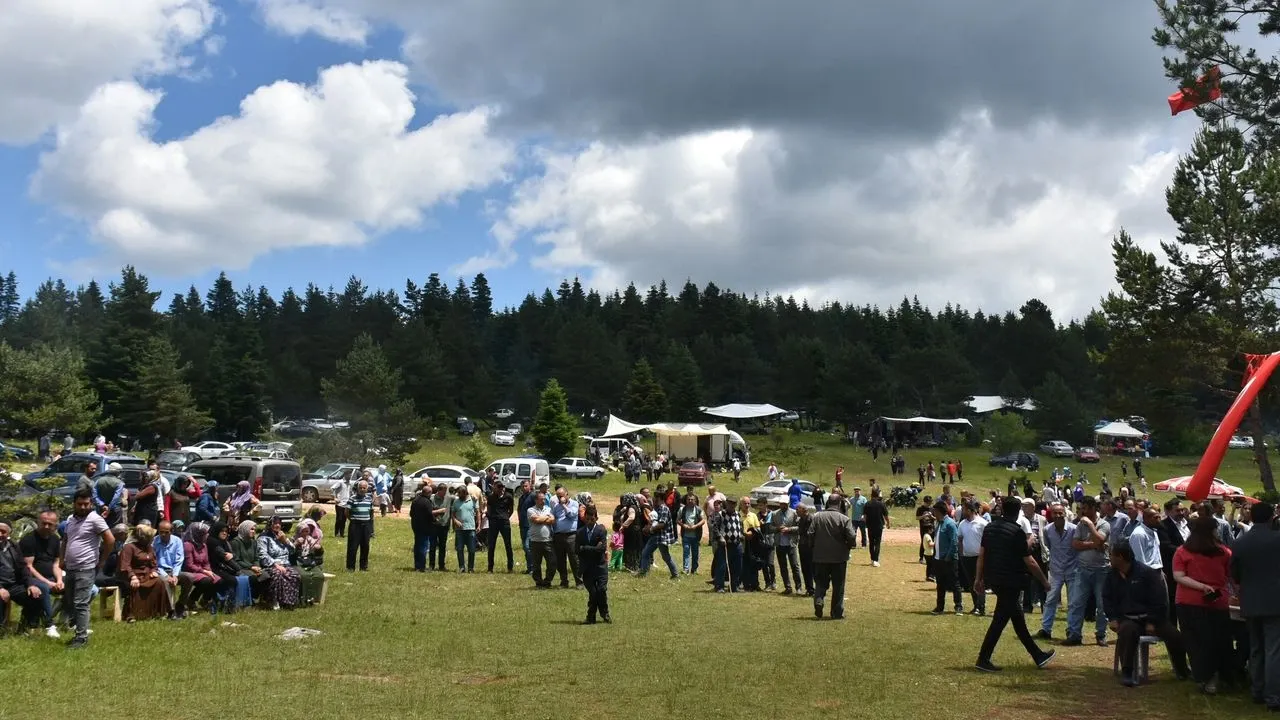 Saraydüzü Yaylası: Doğanın Kollarında Huzur