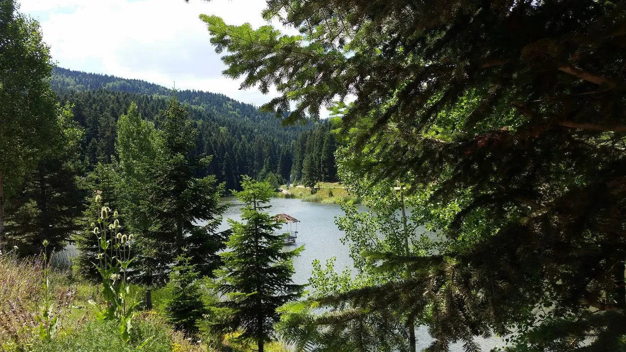 Hanönü Mesire Alanı: Doğanın Kucağında Keyif