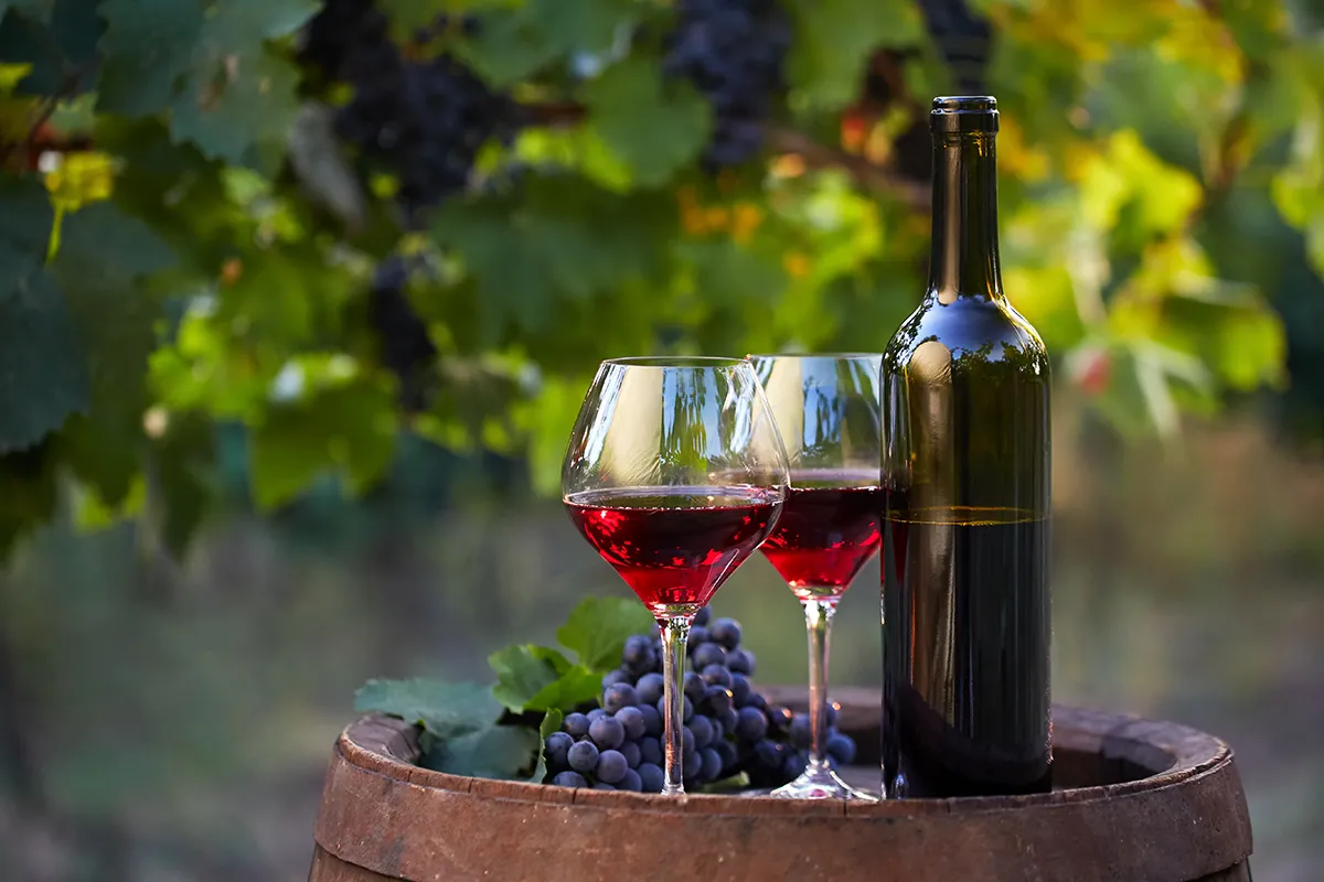 5. Bozcaada Bağları ve Şarap Tadımı