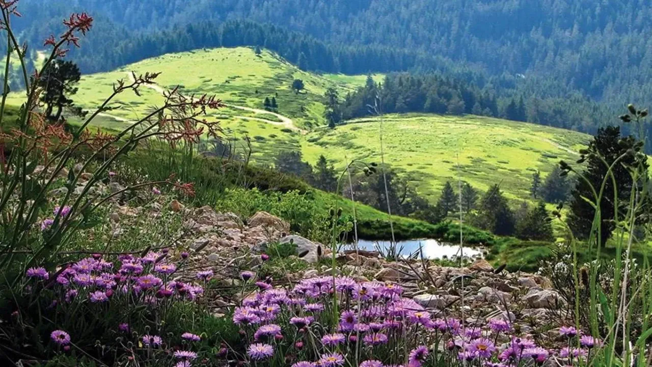 7. Küre Dağları Milli Parkı