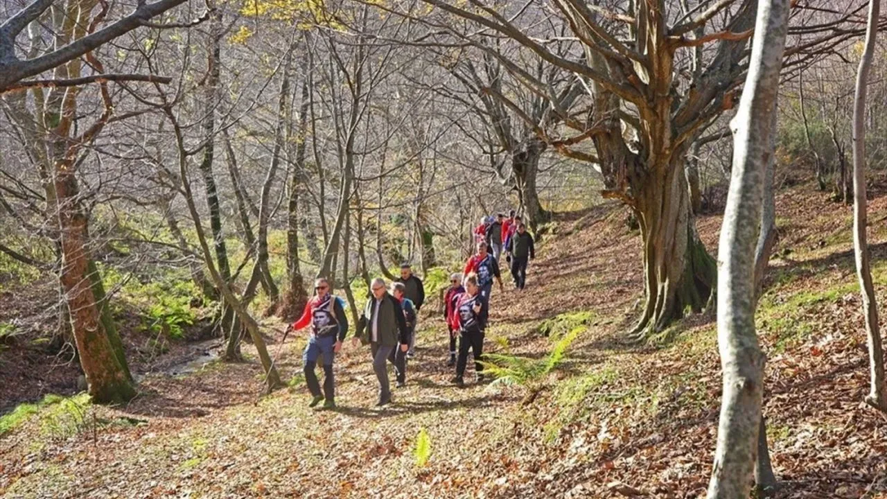 Doğa Yürüyüşü
