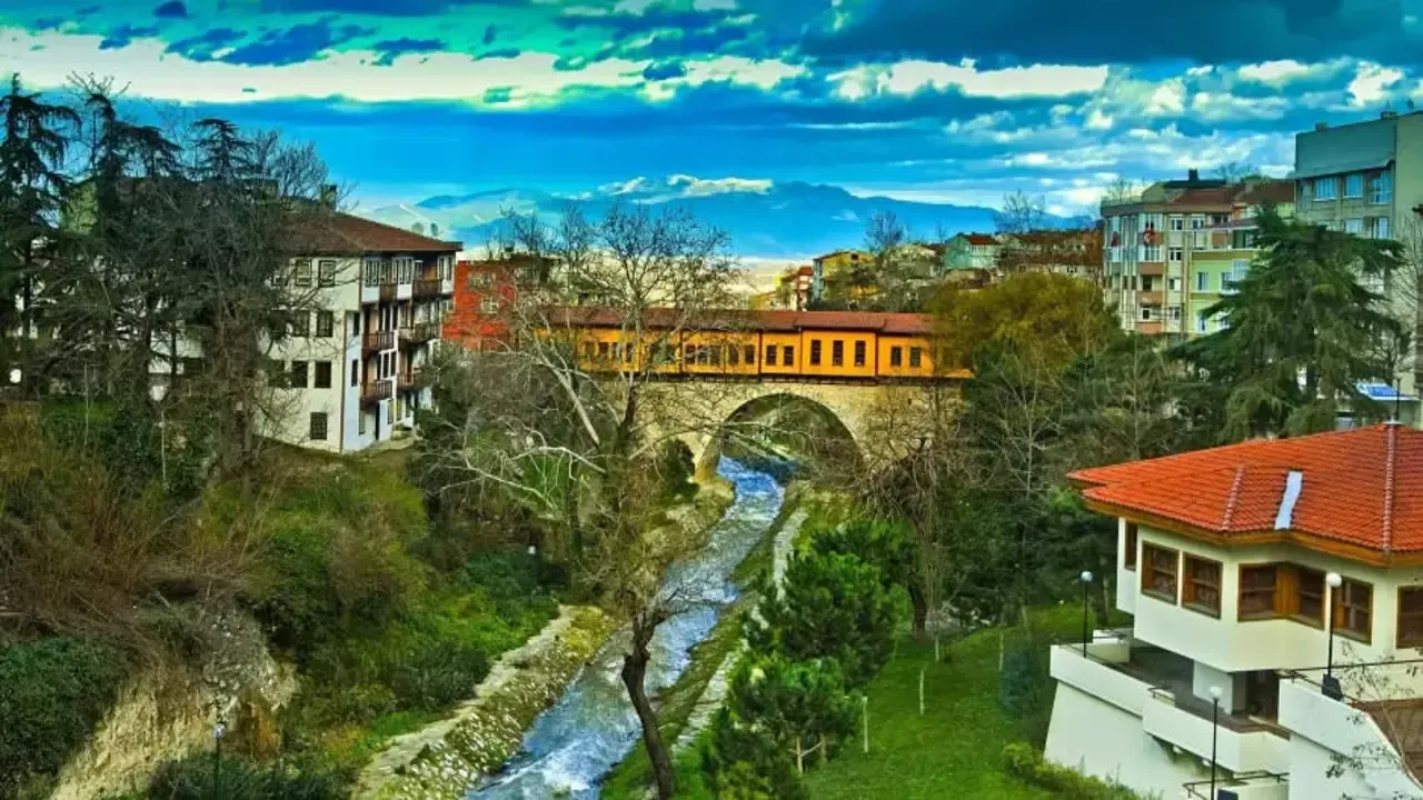 2. Bursa