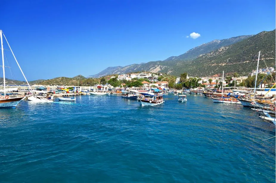 kaş
