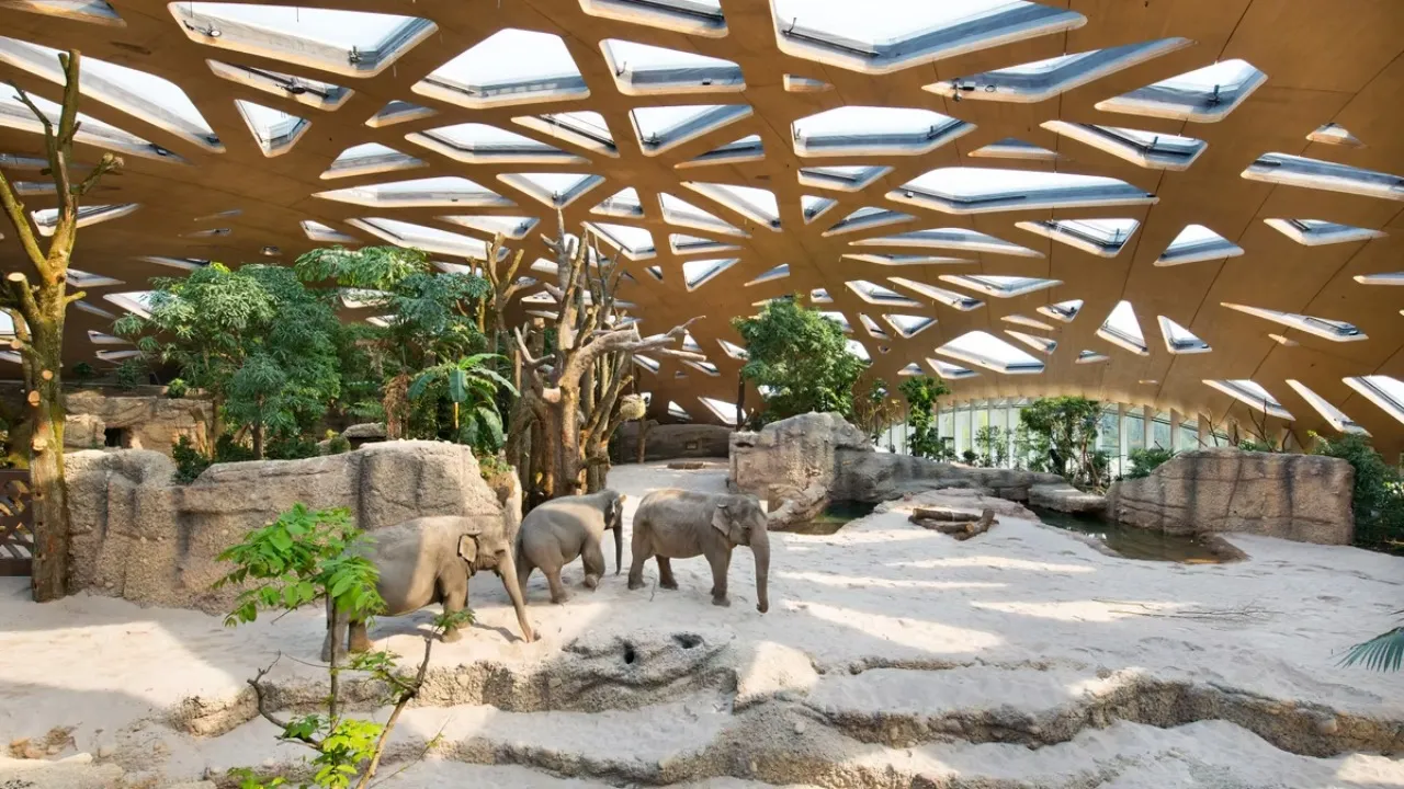 Zürih Hayvanat Bahçesi